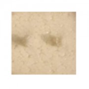 Шестерни кардана S-track - S800-049 Шестерни кардана S-track - S800-049