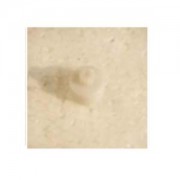 Шестерня S-track - S800-031 Шестерня S-track - S800-031