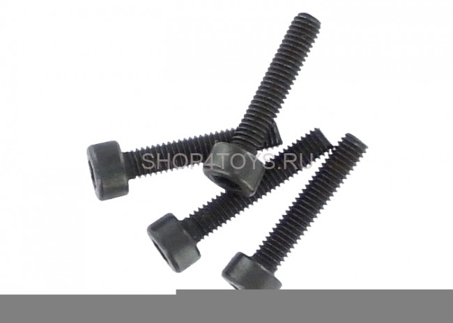 Набор винтов HSP 3x16 - 61017