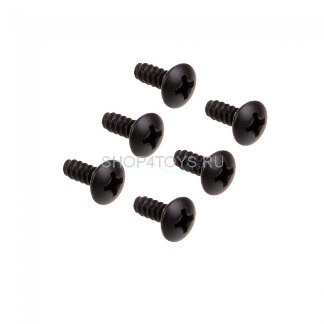 Набор винтов HSP BT 3x8 BH - 02081 Набор винтов HSP BT 3x8 BH - 02081