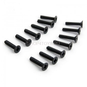 Набор винтов HSP TPE 3x14 FH - 02088 Набор винтов HSP TPE 3x14 FH - 02088