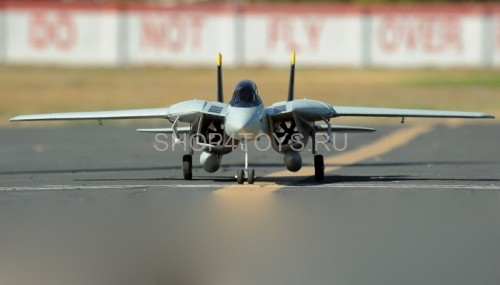 Радиоуправляемый самолет Art-tech F-14 EPO - 2.4G - 21291