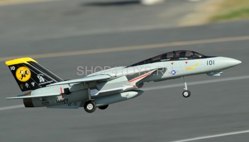 Радиоуправляемый самолет Art-tech F-14 EPO - 2.4G - 21291