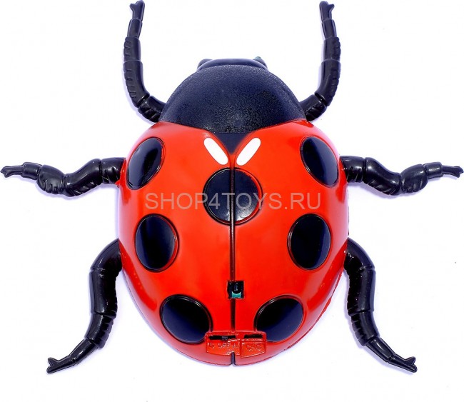 Божья коровка, ползающая по стенам (15 см, на пульте, USB-зарядка) - 866-2 Божья коровка, ползающая по стенам (15 см, на пульте, USB-зарядка) - 866-2