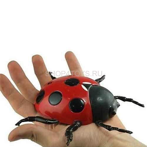 Божья коровка, ползающая по стенам (15 см, на пульте, USB-зарядка) - 866-2 Божья коровка, ползающая по стенам (15 см, на пульте, USB-зарядка) - 866-2