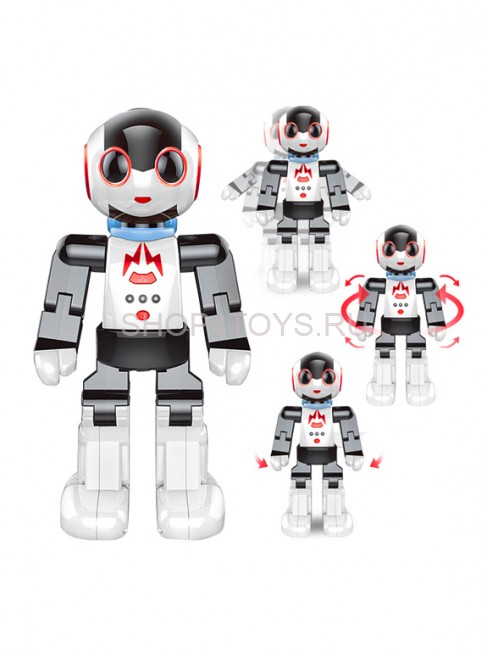 Интерактивный робот Шунтик (управление голосом и с пульта, песни, сказки) - ZYI-I0018