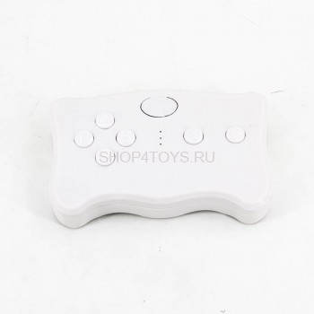 Пульт управления 2.4G - BDM-002 Пульт управления 2.4G - BDM-002