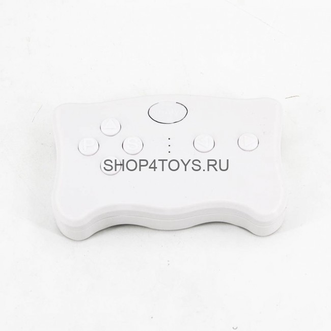 Пульт управления 2.4G - BDM-002 Пульт управления 2.4G - BDM-002