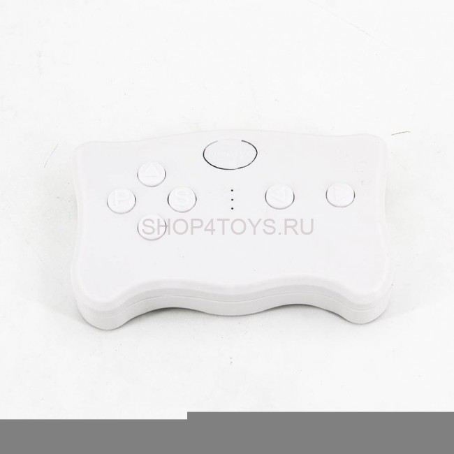 Пульт управления 2.4G - BDM-002 Пульт управления 2.4G - BDM-002