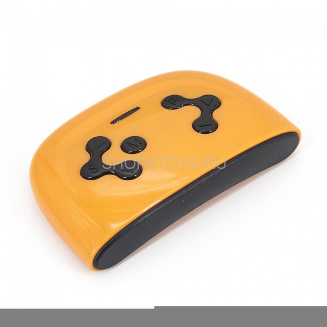 Пульт управления JR 2.4G для электромобилей - JR-RC-01