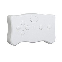Пульт управления Wellye 2.4G для электромобилей - WE-RC-02