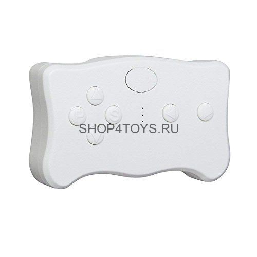 Пульт управления Wellye 2.4G для электромобилей - WE-RC-02 Пульт управления Wellye 2.4G для электромобилей - WE-RC-02