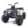 Детский квадроцикл Grizzly Next White 4WD с пультом управления 2.4G - BDM0909