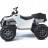 Детский квадроцикл Grizzly Next White 4WD с пультом управления 2.4G - BDM0909