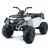 Детский квадроцикл Grizzly Next White 4WD с пультом управления 2.4G - BDM0909