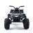 Детский квадроцикл Grizzly Next White 4WD с пультом управления 2.4G - BDM0909