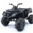 Детский квадроцикл Grizzly Next Black 4WD с пультом управления 2.4G - BDM0909