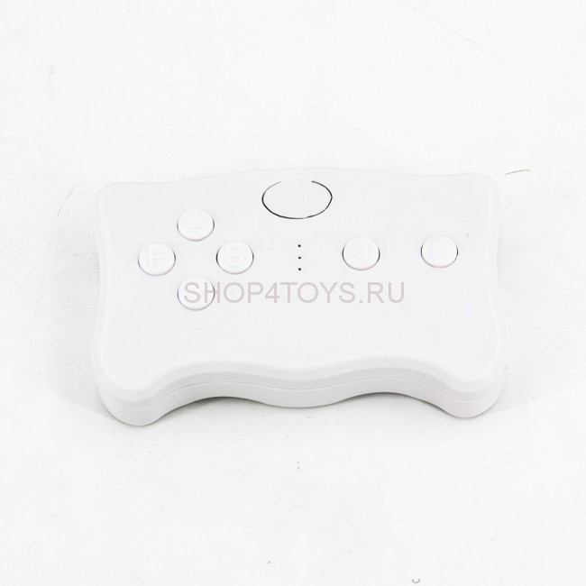 Пульт управления 2.4G для электромобиля - CH-009