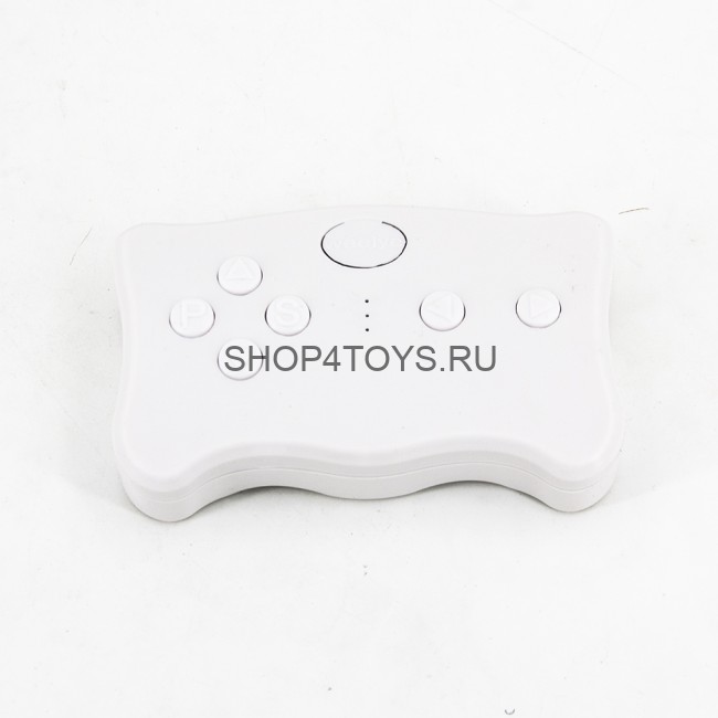 Пульт управления 2.4G для электромобиля - CH-009