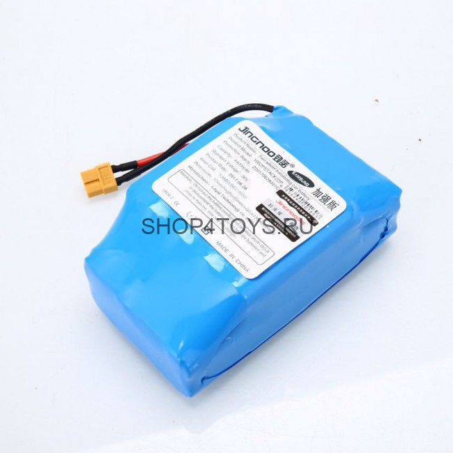 Гироскутер SM Balance Пират 10,5 APP (Samsung) Гироскутер SM Balance Пират 10,5 APP (Samsung)