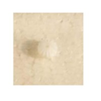 Часть заднего привода S-track - S800-032