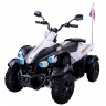 Детский спортивный электроквадроцикл Dongma ATV White 12V - DMD-268B-W